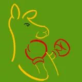 Boxing Kangaroo