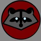 Raccoon2