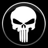 the punisher