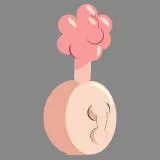 Plumbus