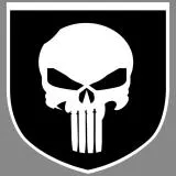 PUNISHER SEAL TEAM 3 shoulder patch