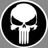 PUNISHER SEAL TEAM 3
