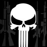 PUNISHER SEAL TEAM 3