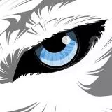 Snow Wolf Eye