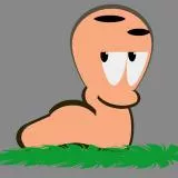 Worms