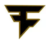 Faze 1 