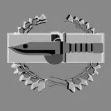 CIB Combat Badge (Gray)