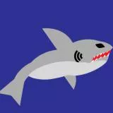 Angry Shark