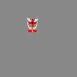 醫療之眼(下士階)