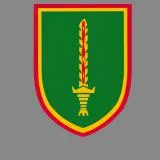 Lithuanian special forces