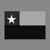 bandera chilena negra