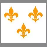 White Fleur de Lys of France