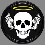 skull badge