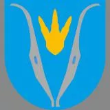 Coat of Arms of Vimpeli