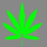 Marijuana (sans fond)