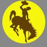 Wyo Cowboy