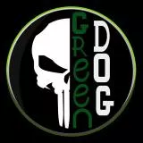 green dog
