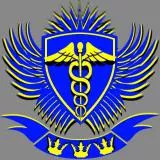 Swedish Special Forces