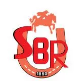 Steel Ball Run Symbol (White)