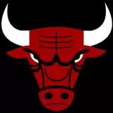 The Chicago Bulls